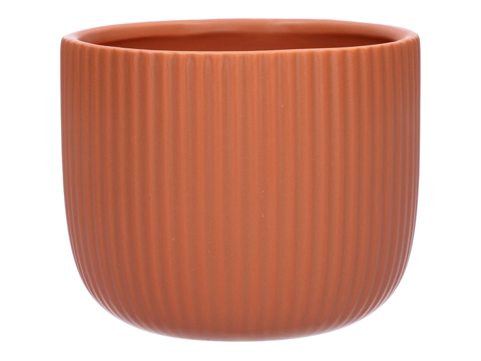 <h4>DF03-710288647 - Pot Haley d14xh11.5 terra matt</h4>