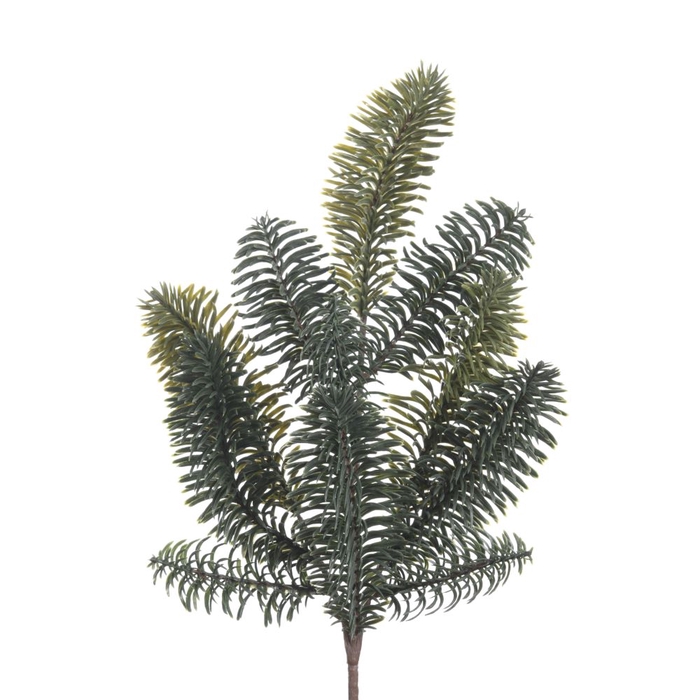 AF Nobilis L42cm Green