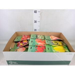 Flowerbulbs, corns or tubers   ...