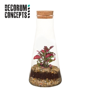 Arr.   Kamerplant Groen H%