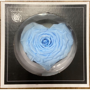 Pr 1.1 Corazon Blu089