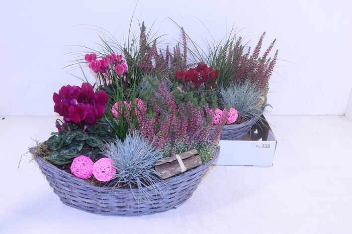 <h4>ARR TUINPLANTEN</h4>
