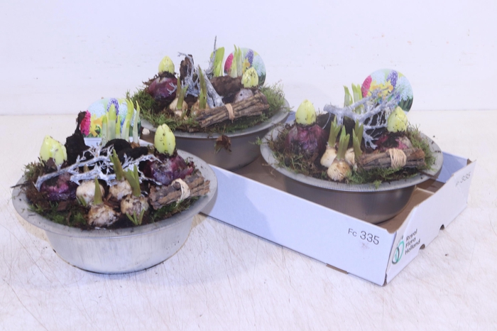 <h4>ARR BOL KNOLGEWAS</h4>