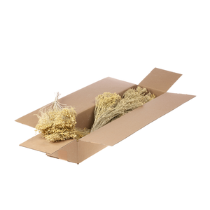 Broom Bloom Bunch Sb White Misty