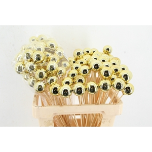 Stick Ball C. Ø4 Gold Shiny