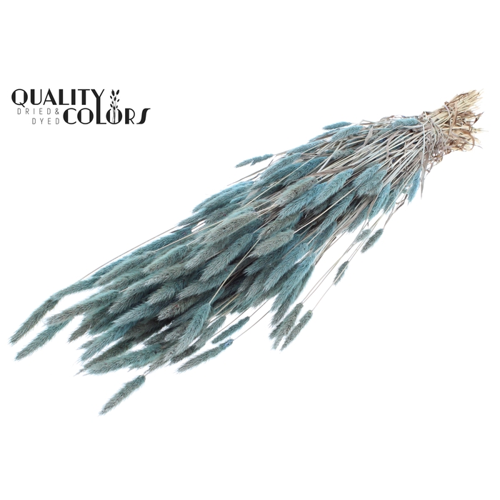 <h4>Polypogon per bunch Frosted Light Blue</h4>