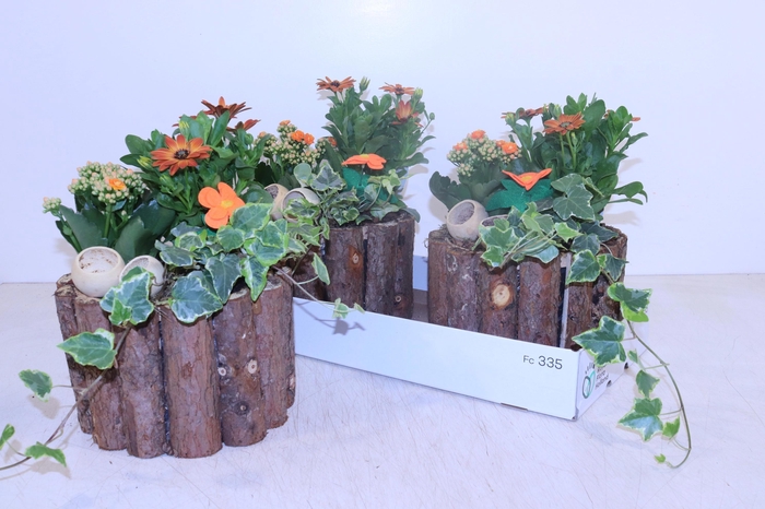 <h4>ARR TUINPLANTEN</h4>