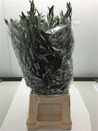 <h4>Olive leaf 300g Italy</h4>