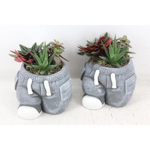 arr3 SN - Ker. spijkerbroek x5