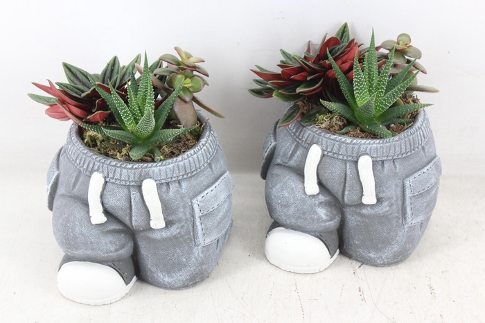 <h4>arr3 SN - Ker. spijkerbroek x5</h4>