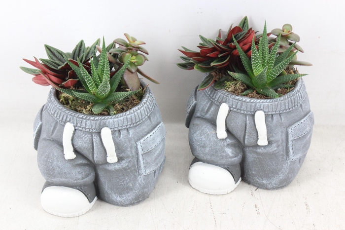 <h4>arr3 SN - Ker. spijkerbroek x5</h4>