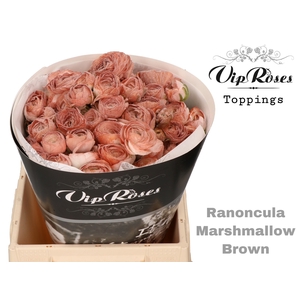 Ran Ov Marshmallow Brown