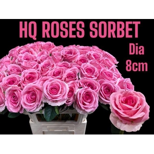 Roses artificielles rose