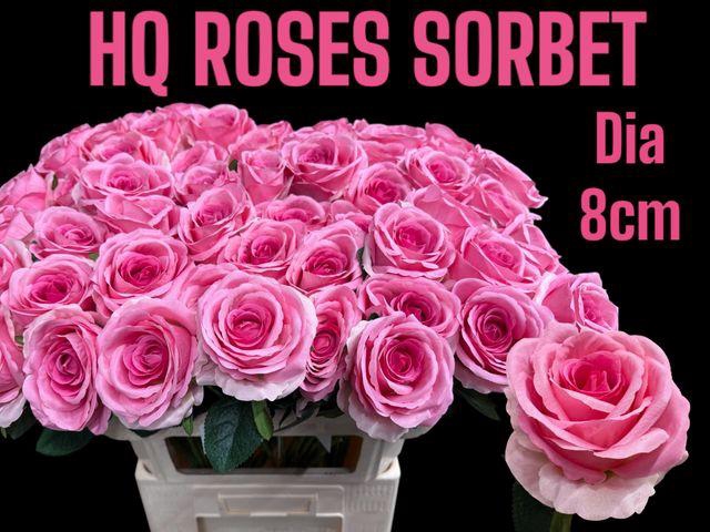 <h4>Roses artificielles rose</h4>