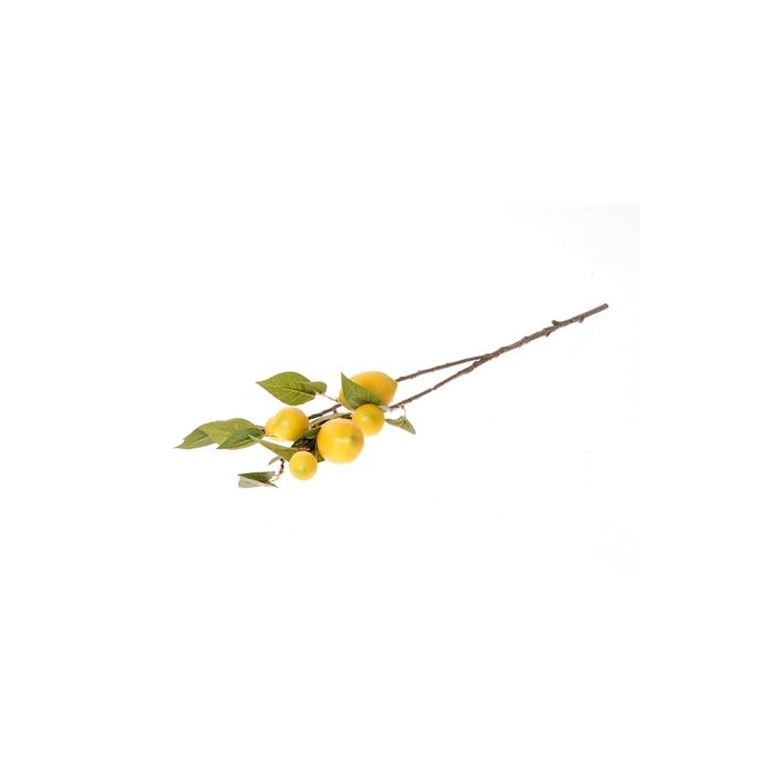 <h4>Stem Lemon Plant L80W25H12</h4>