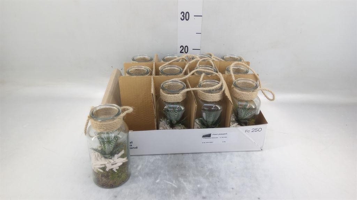 <h4>Arr.   Kamerplant Groen L%</h4>