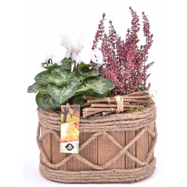 <h4>Hout ovaal met touw 21x11.5cm</h4>