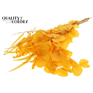 Eucalyptus Mix Preserved Bleached Apricot