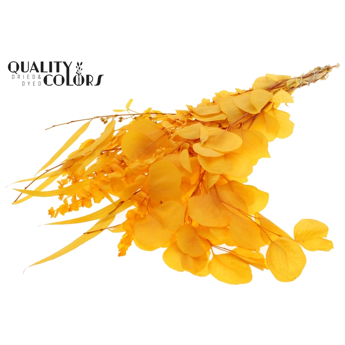 <h4>Eucalyptus Mix Preserved Bleached Apricot</h4>