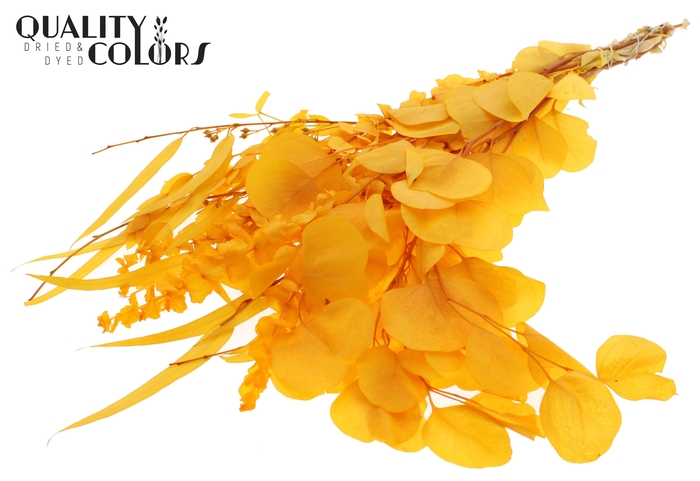 Eucalyptus Mix Preserved Bleached Apricot