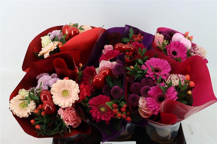 <h4>Bqt Sixpack11st</h4>