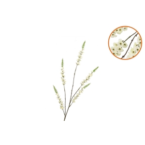 Silk Campanula Cream Single Stem 104cm