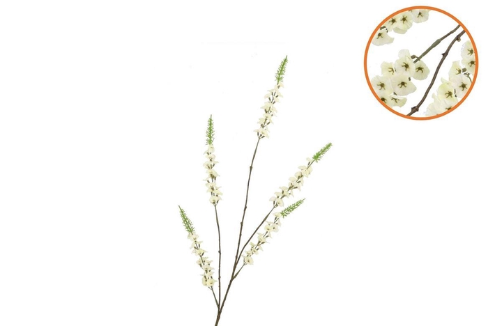 Silk Campanula Cream Single Stem 104cm Nm