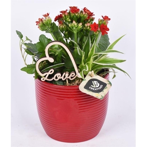 Keramiek ribbelpot enhart rood 13cm