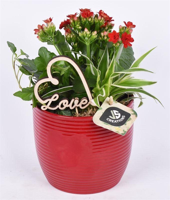 <h4>Keramiek ribbelpot enhart rood 13cm</h4>