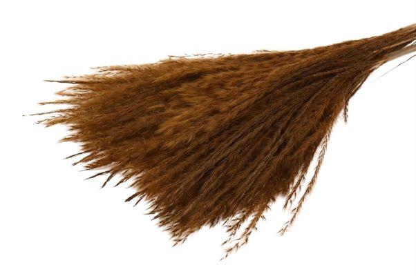 Bunch Fluffy Silver Grass 10pcs L75