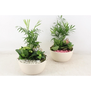 arr2 PL -  Ker. pot lana wit  285/6 - roze/wit