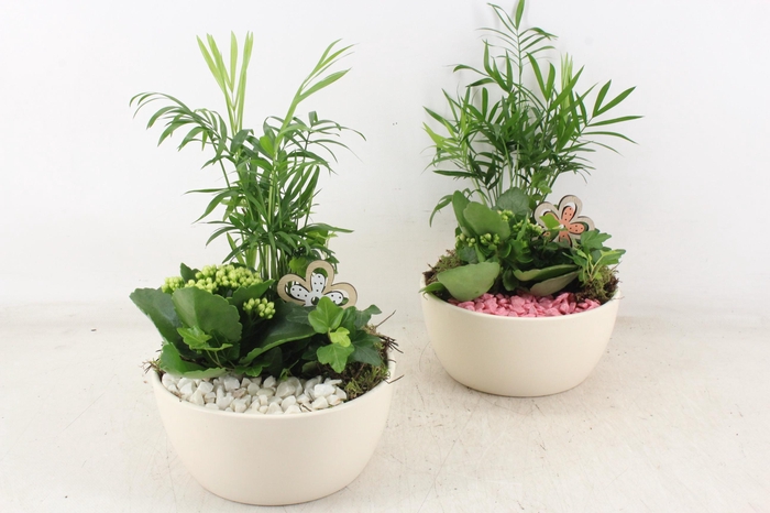 <h4>arr2 PL - Ker. pot lana wit 285/6 - roze/wit</h4>