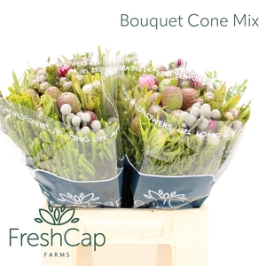 Bouquet Cone Mix