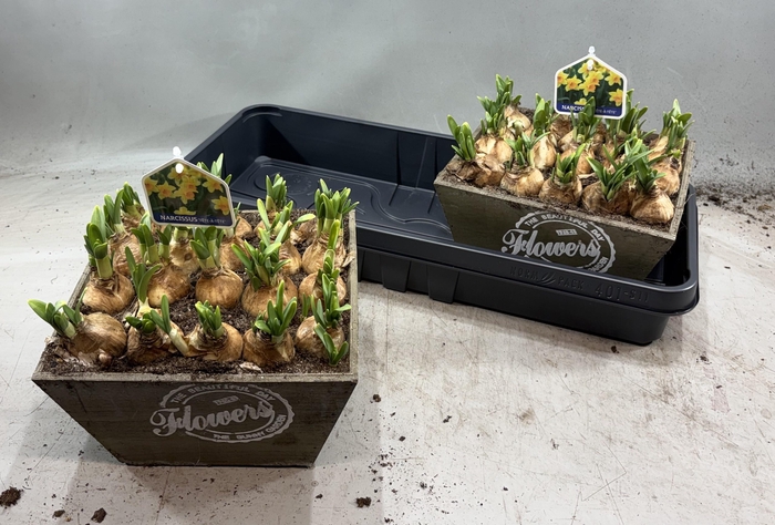 <h4>ARR N TETE A TETE</h4>