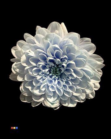 Chr T Altaj Delfts Blue