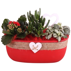 Valentine Arr. Indoor Ceramic Pot Oval Rope Heart Red Ø27cm 3PP