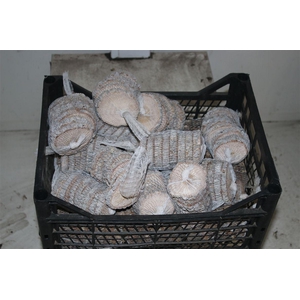 Houten Boomschijf In Netje ( 8 Pcs )