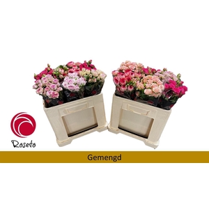 R Tr Gemengd In Fust