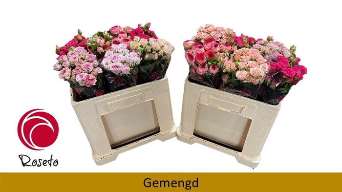 <h4>R Tr Gemengd In Fust</h4>