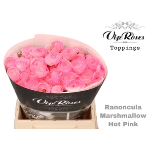 RAN OV MARSHMALLOW HOT PINK