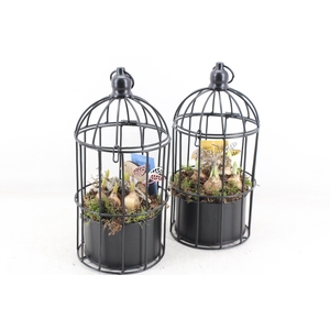 arr4 Bollenmix MB - Vogelkooi kl. 338/8