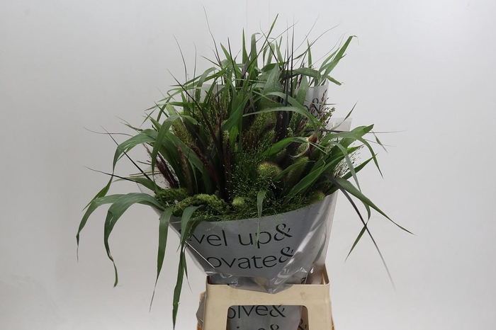 <h4>Grasses mix in bucket</h4>