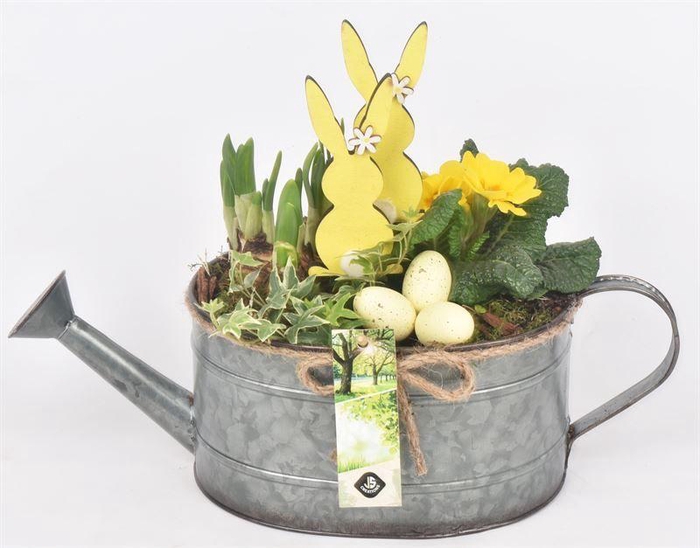 <h4>Zink gieter old look 20x15cm</h4>