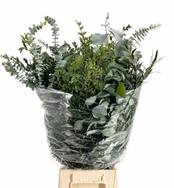 <h4>Euc. Mix Per bunch</h4>