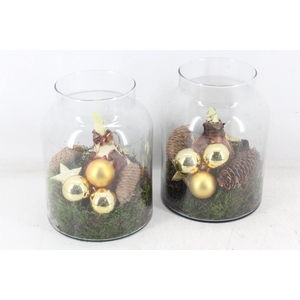 arr4 Amaryllis MB - Glas Napoleon x5 Gold