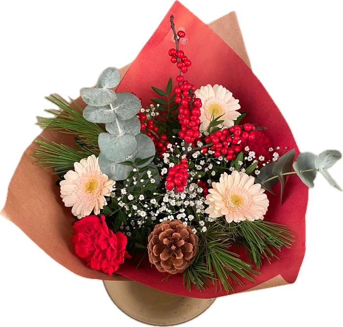 <h4>Bq Xmass Xlence M</h4>