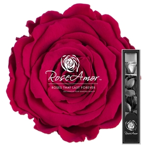 30cm Stem Pin05