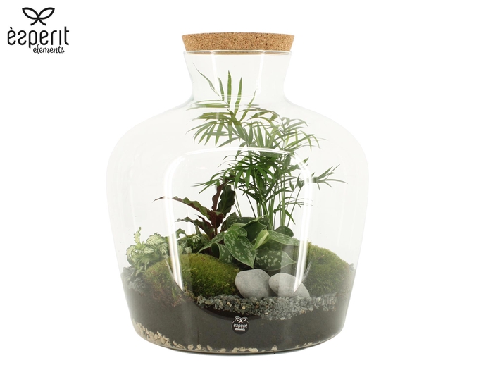 <h4>90998: Terrarium arrangement</h4>