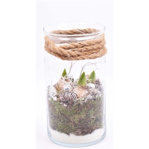 Glas cilinder met hals 16cm/h 30cm