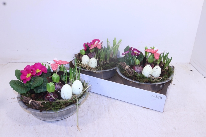 <h4>ARR TUINPLANTEN</h4>